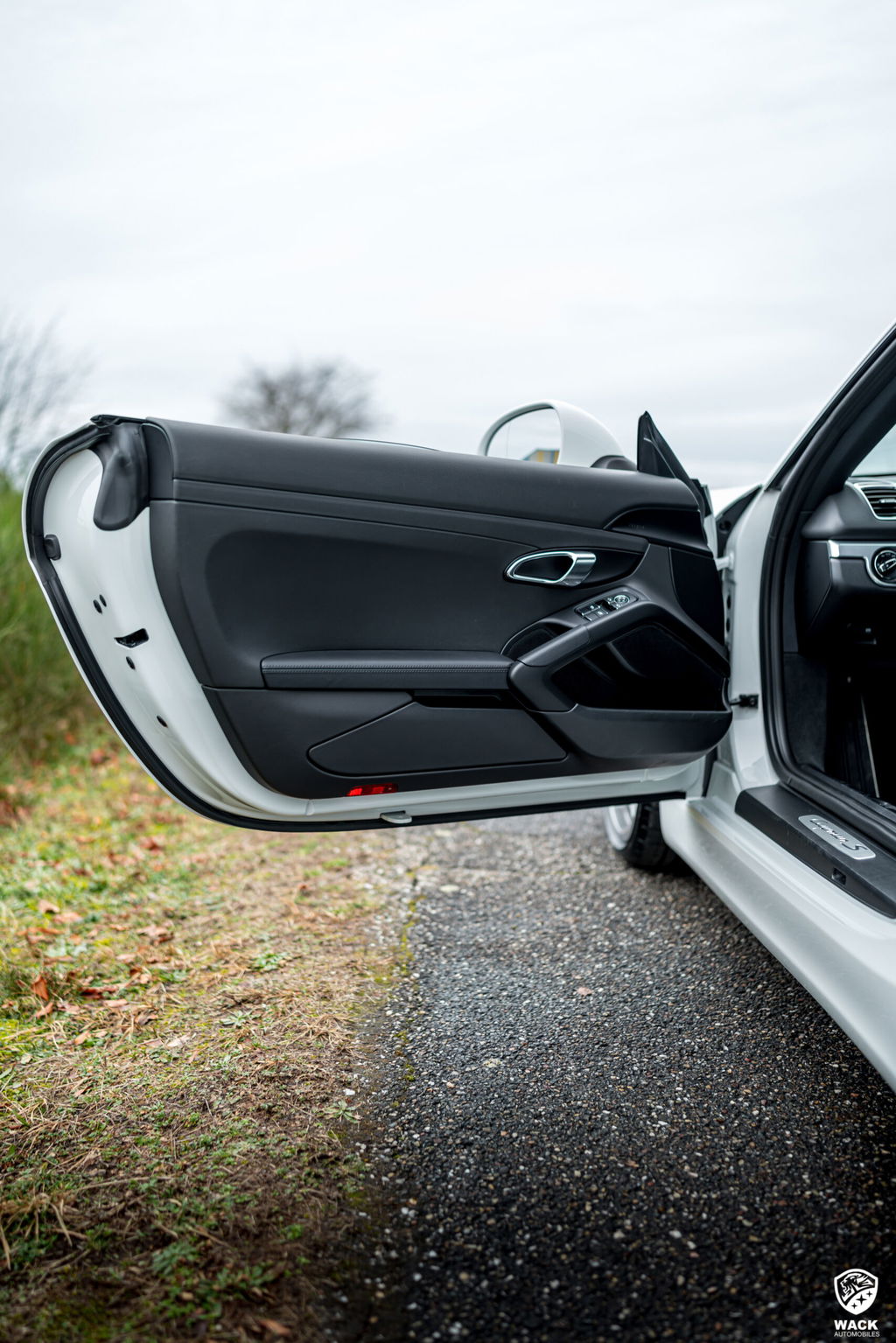 Porsche 981 Cayman S