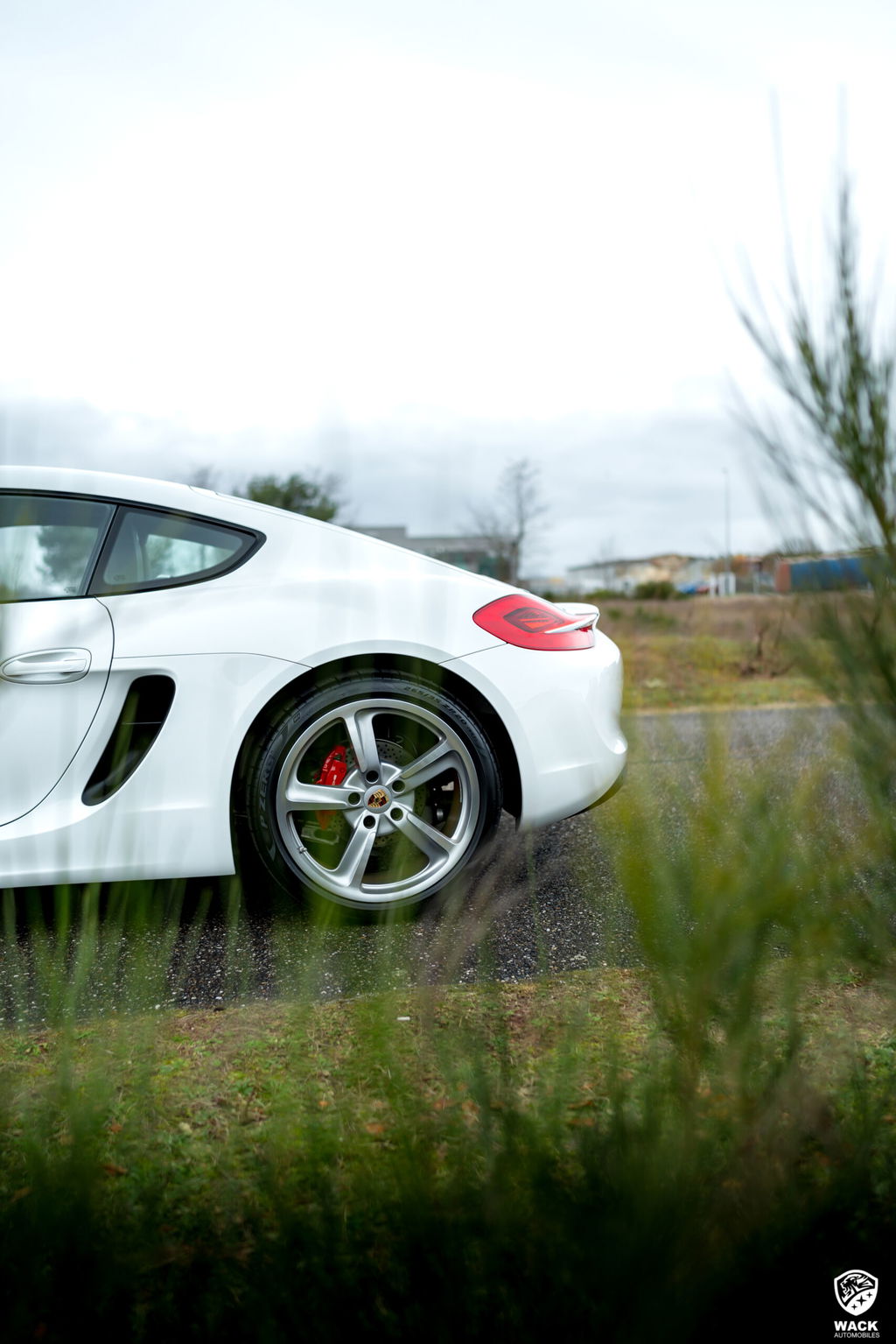 Porsche 981 Cayman S