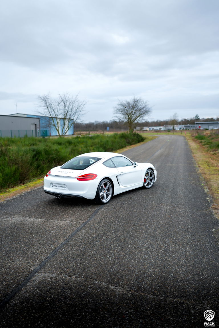 Porsche 981 Cayman S