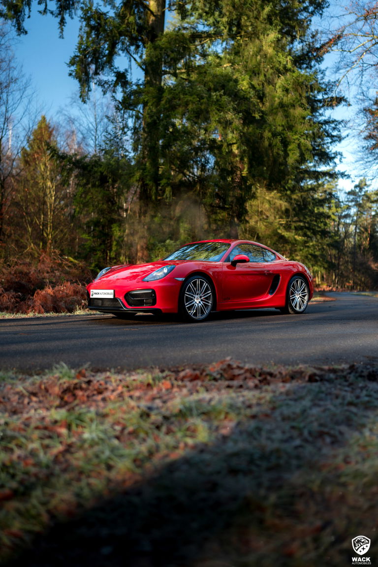 Porsche 981 Cayman GTS