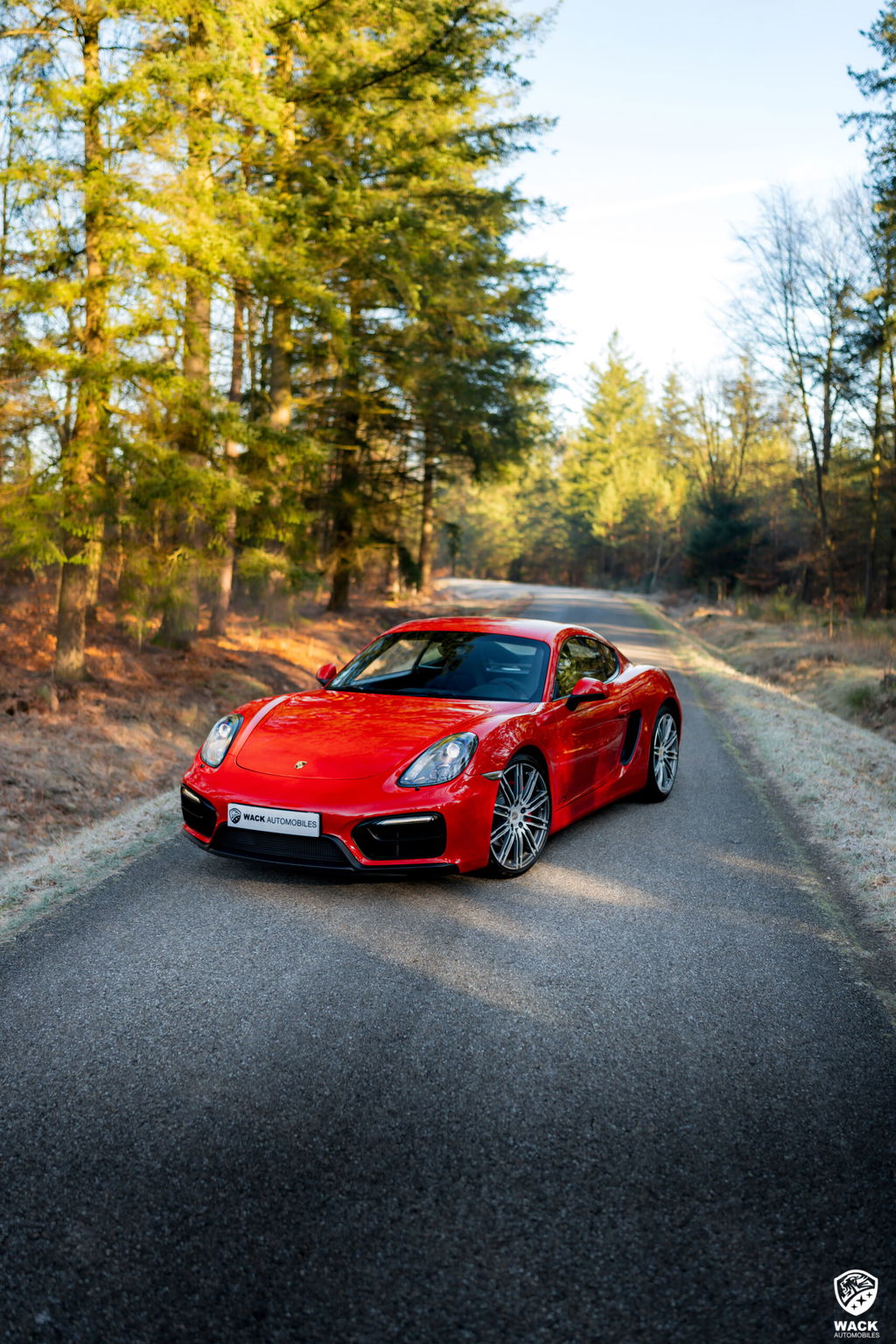 Porsche 981 Cayman GTS