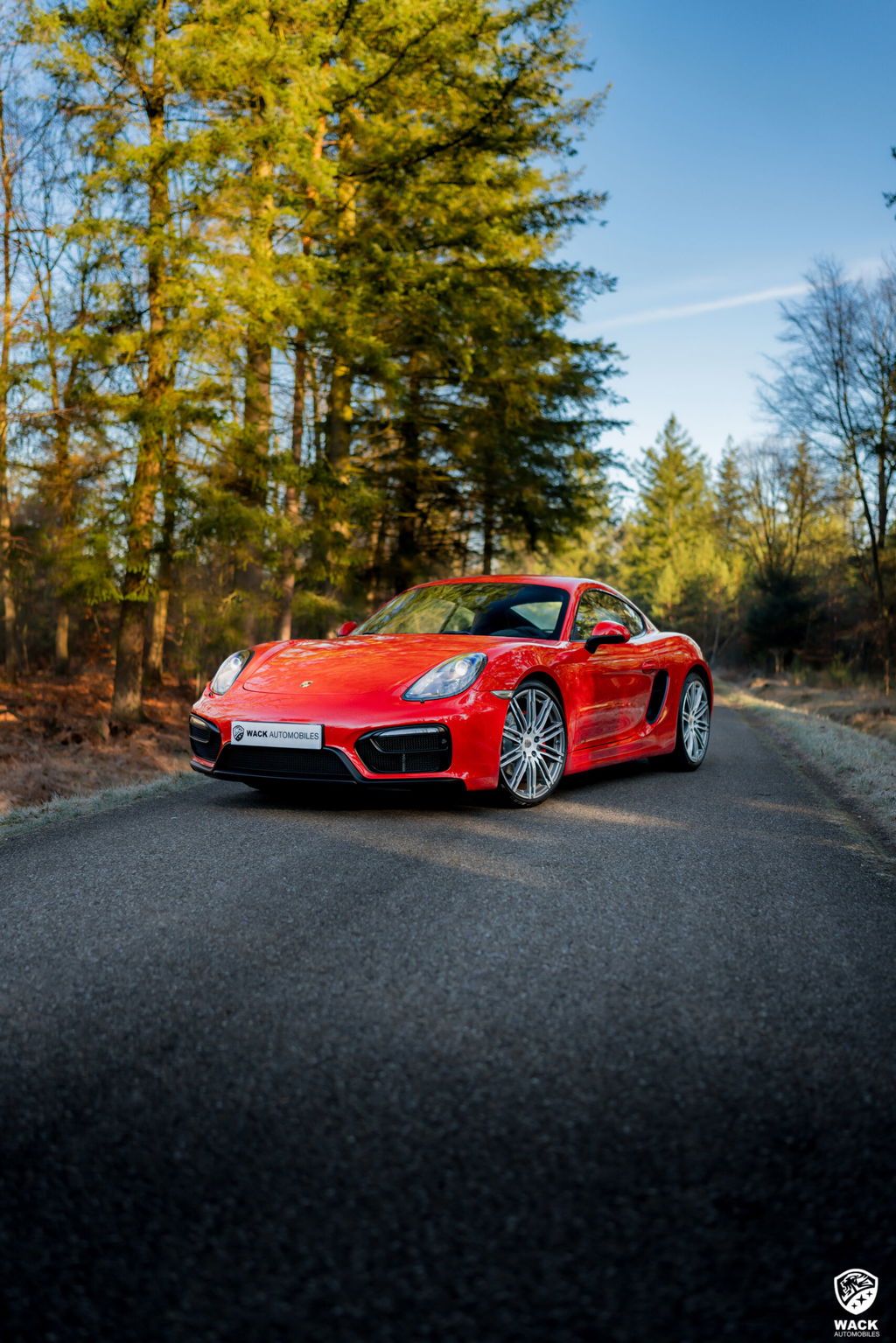 Porsche 981 Cayman GTS