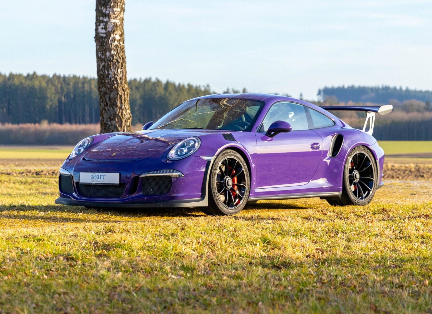 ブリエスタ　グラデーションパープル Porsche 991 GT3 RS 2016 - elferspot.com - Marketplace for Porsche