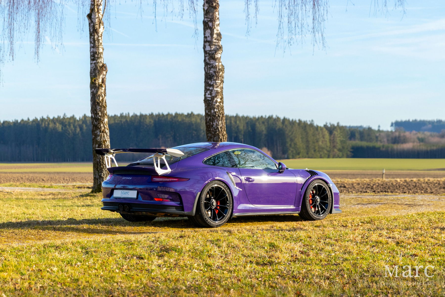 Porsche 991 GT3 RS 2016 - elferspot.com - Marktplatz für Porsche Sportwagen