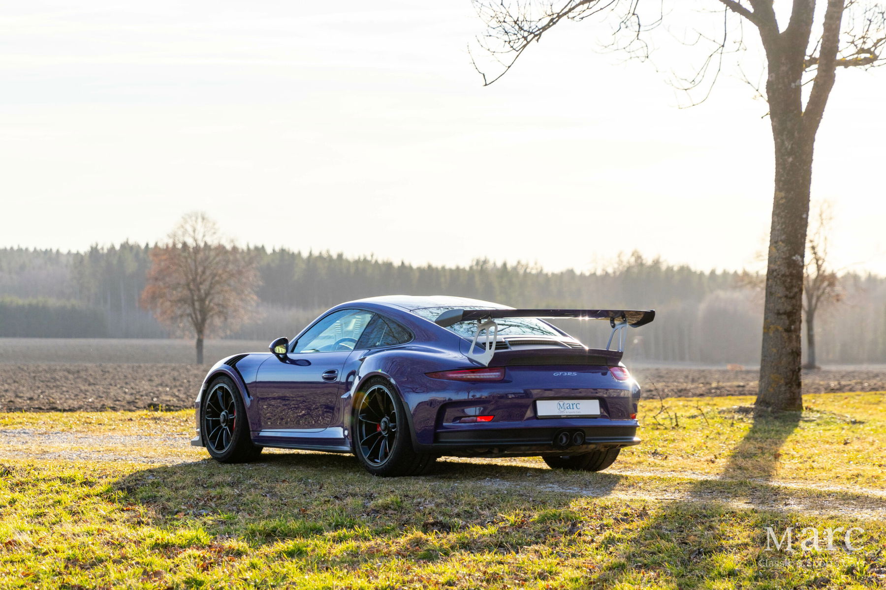 Porsche 991 GT3 RS 2016 - elferspot.com - Marktplatz für Porsche Sportwagen