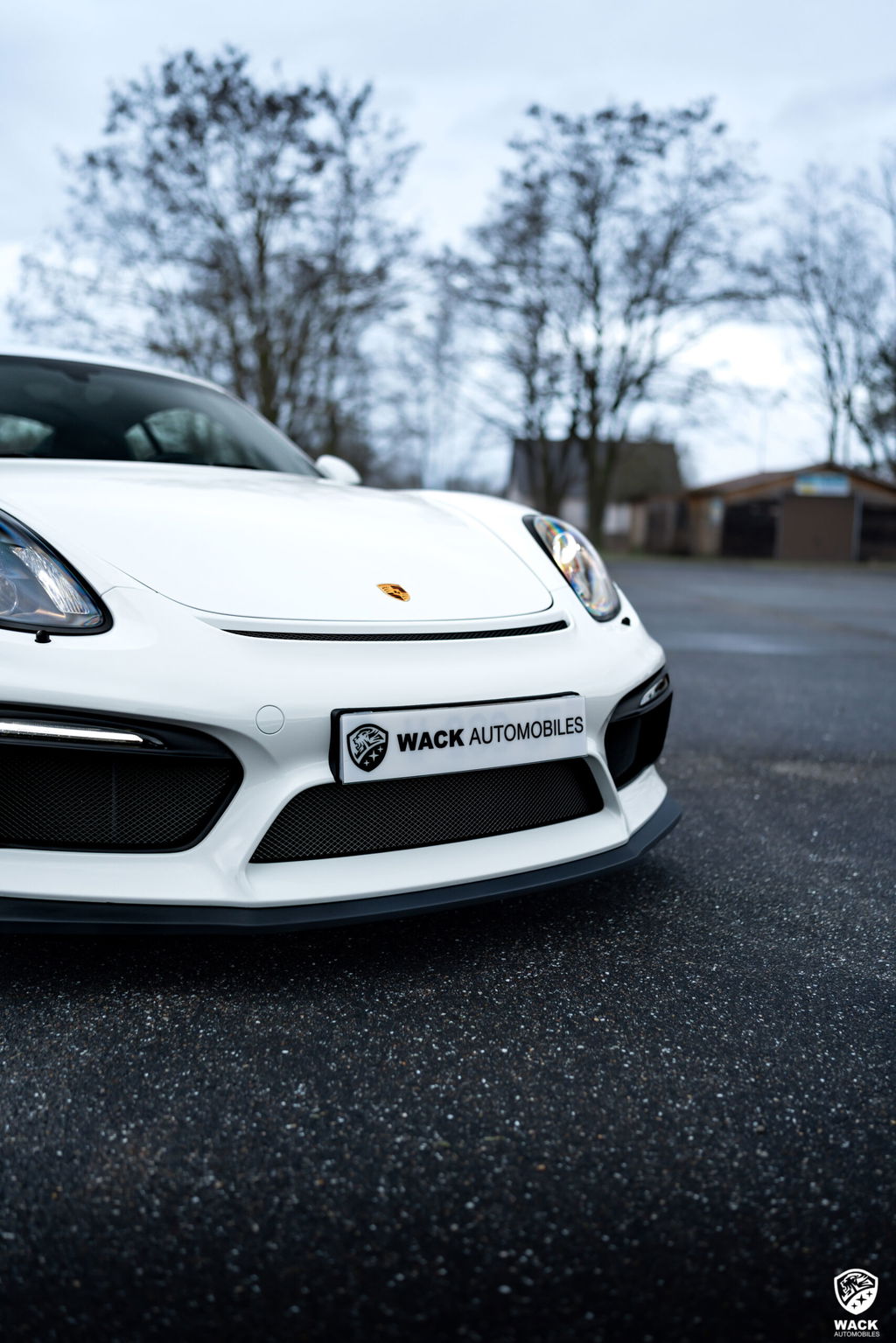 Porsche 981 Cayman GT4