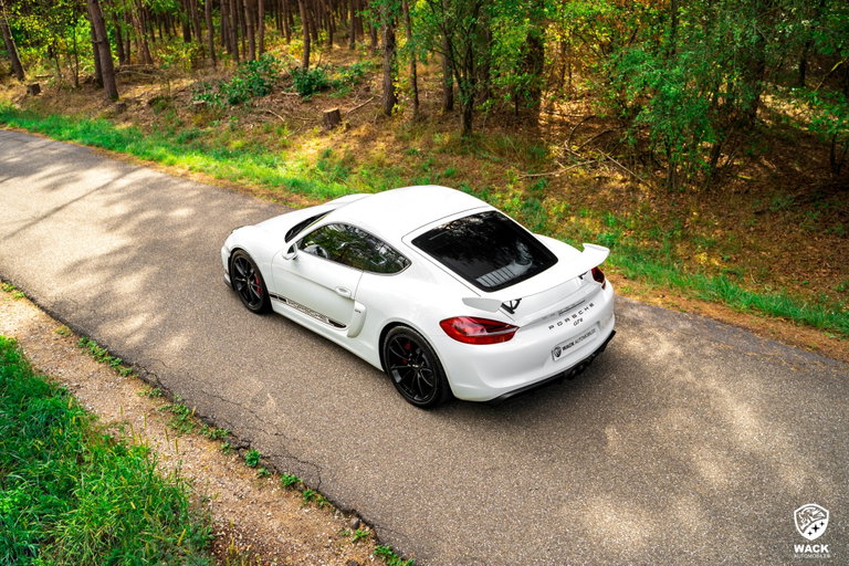Porsche 981 Cayman GT4