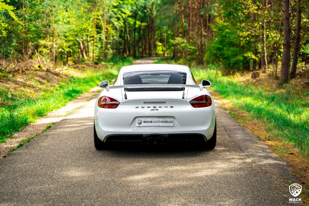 Porsche 981 Cayman GT4