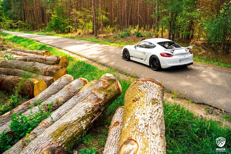Porsche 981 Cayman GT4