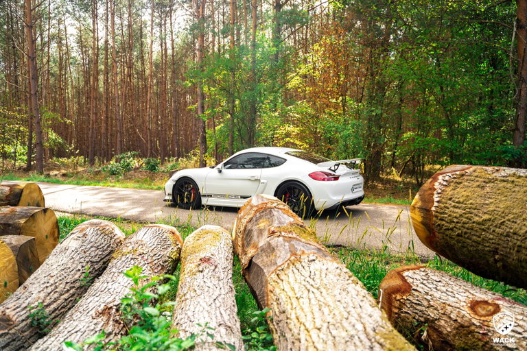 Porsche 981 Cayman GT4