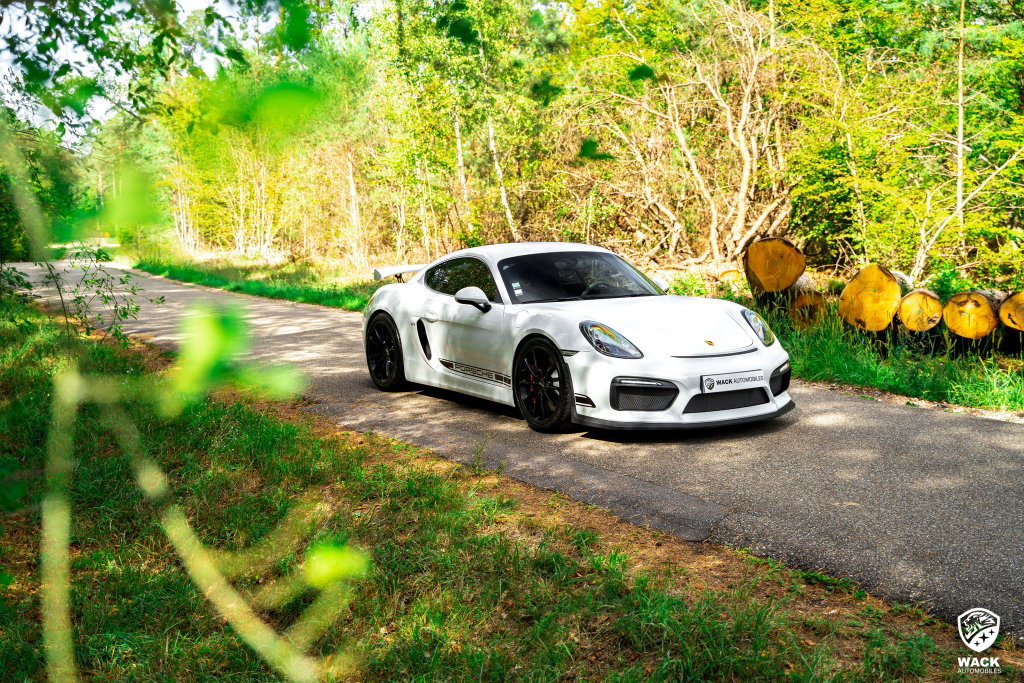 Porsche 981 Cayman GT4