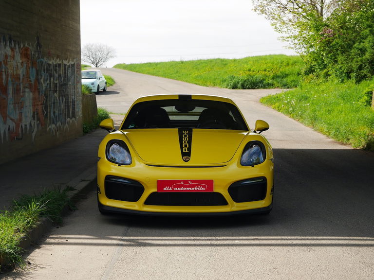 Porsche 981 Cayman GT4