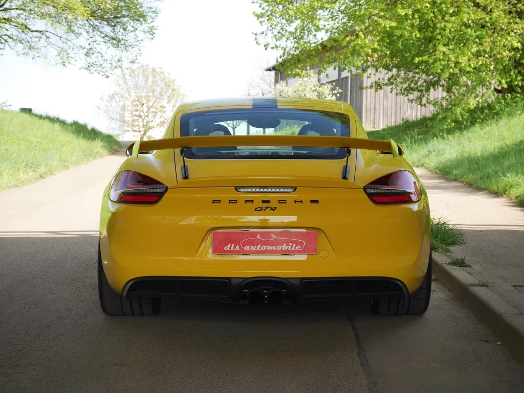 Porsche 981 Cayman GT4