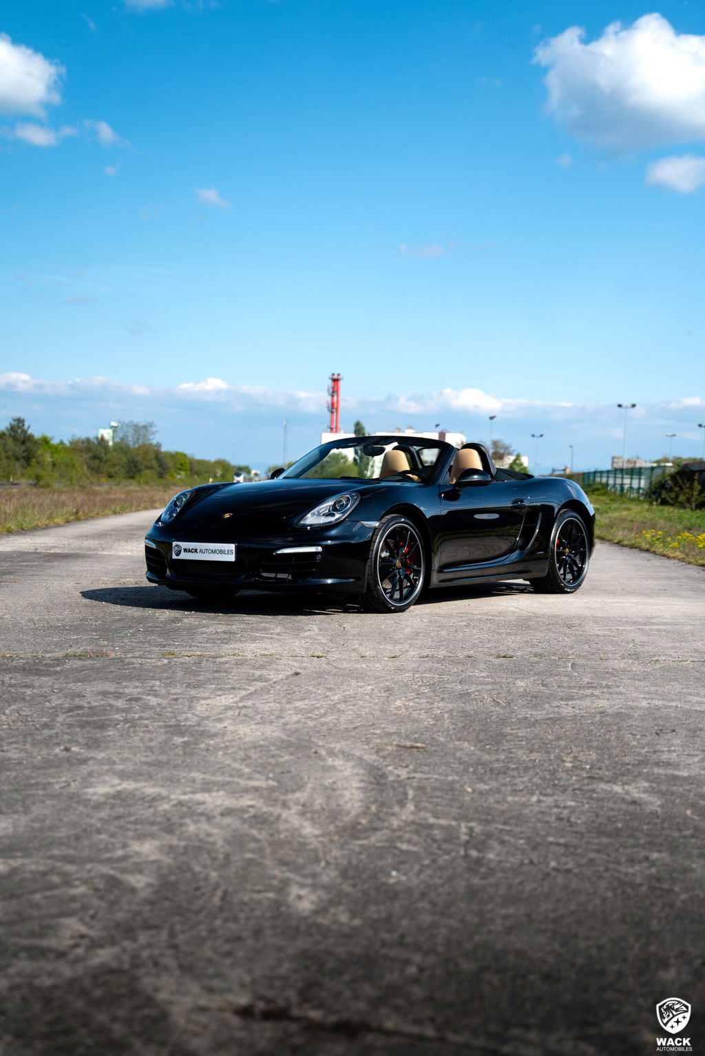 Porsche 981 Boxster S
