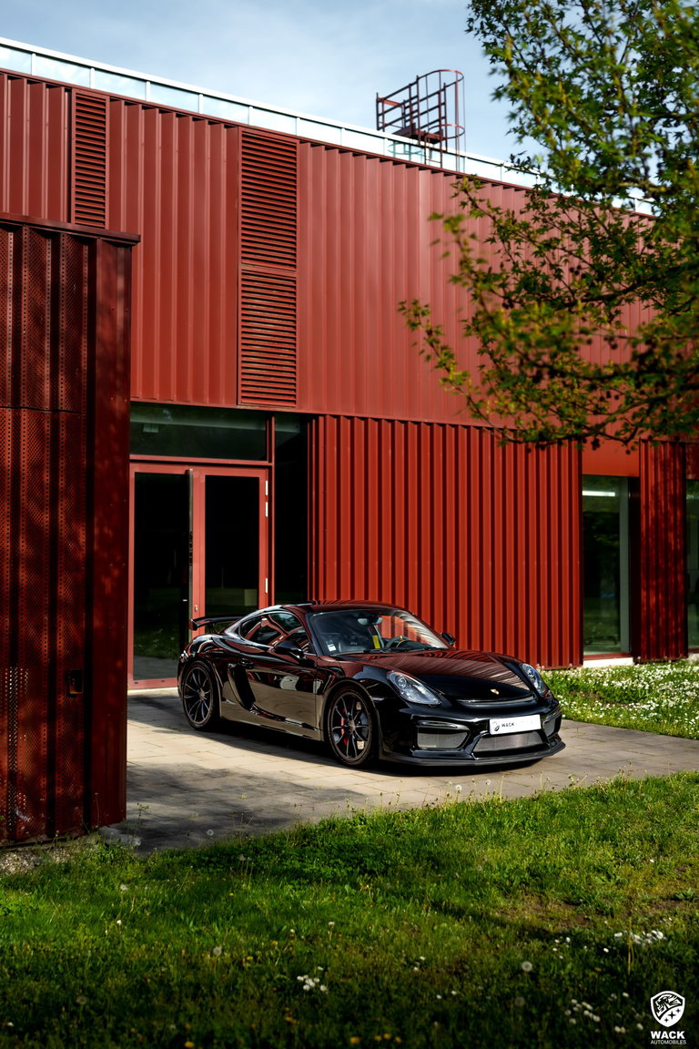 Porsche 981 Cayman GT4