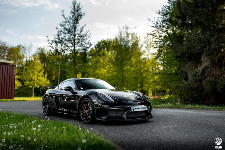 Porsche 981 Cayman GT4