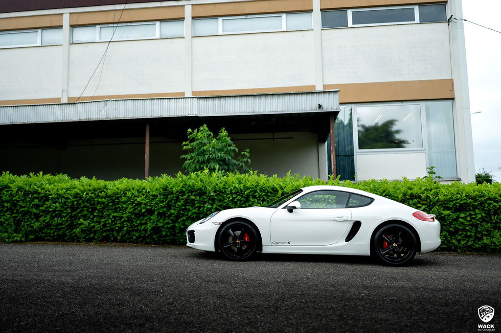 Porsche 981 Cayman S