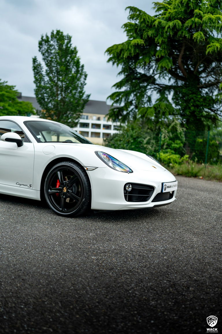 Porsche 981 Cayman S