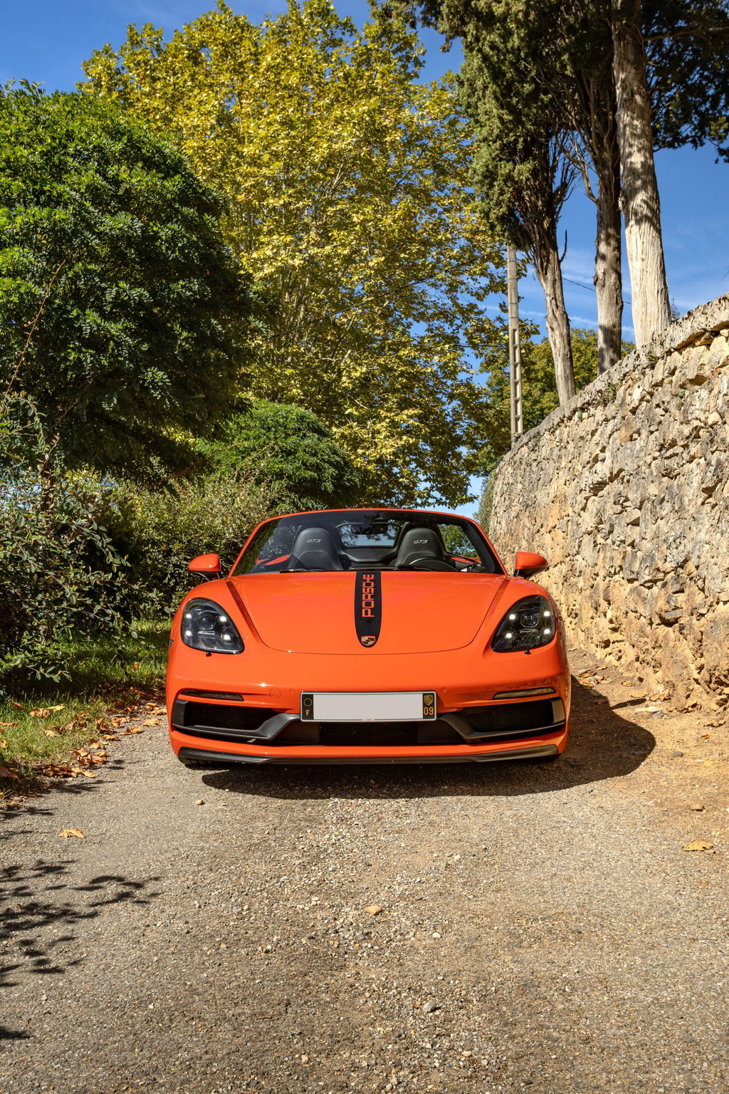 Porsche 718 Boxster GTS