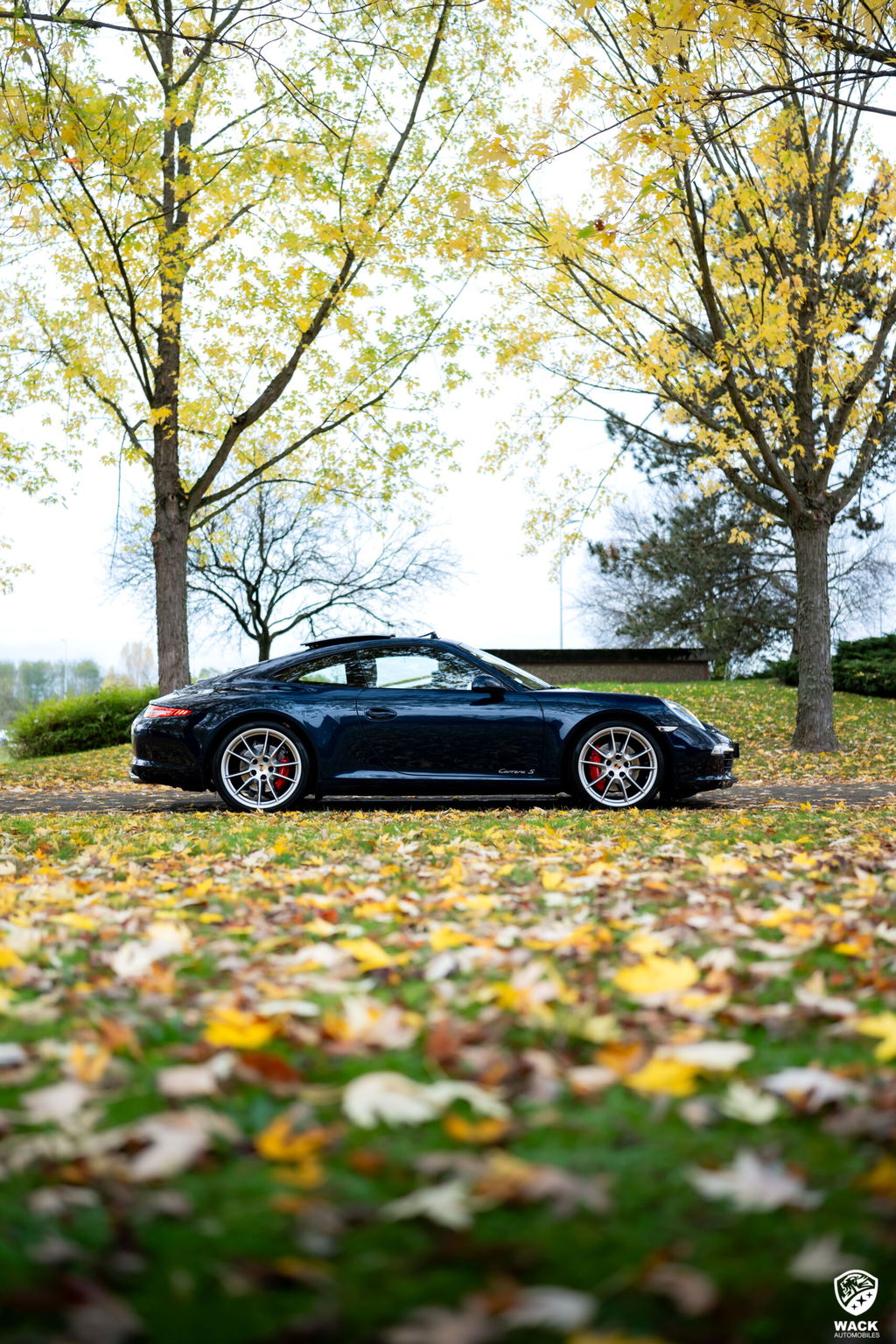 Porsche 991 Carrera S