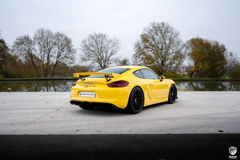 Porsche 981 Cayman GT4