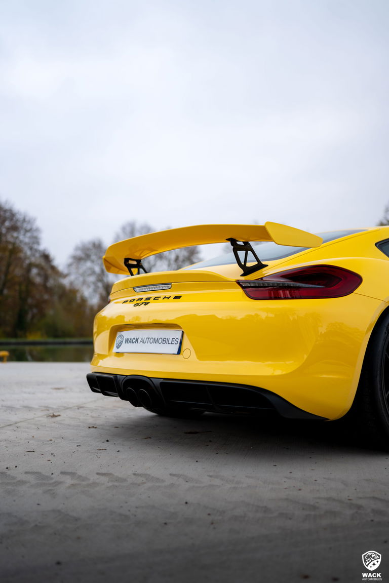 Porsche 981 Cayman GT4