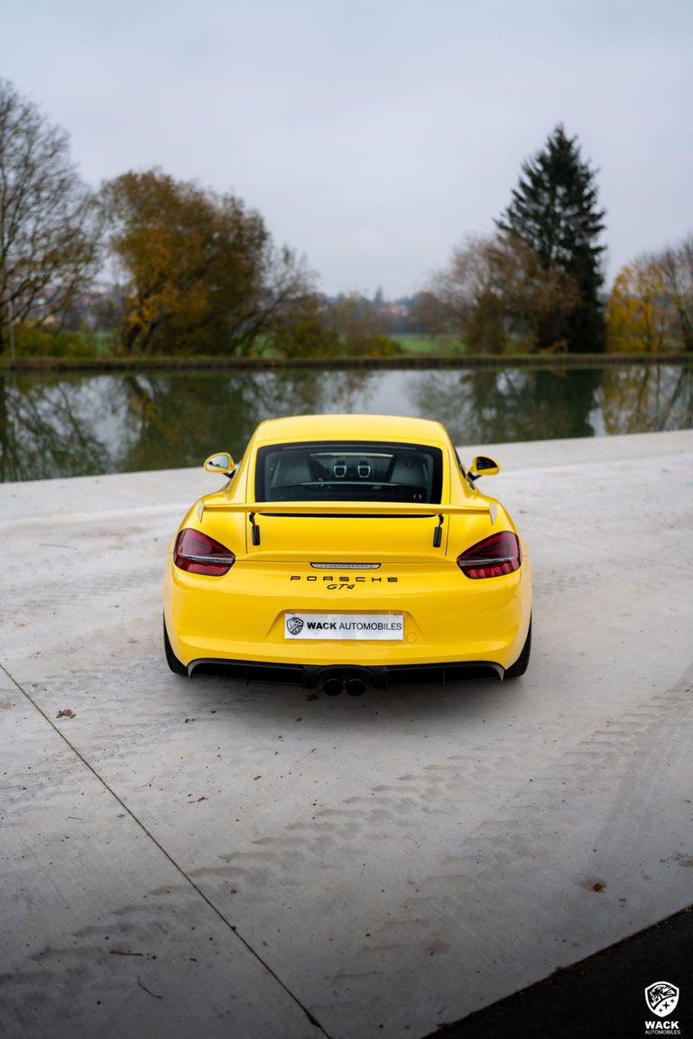 Porsche 981 Cayman GT4