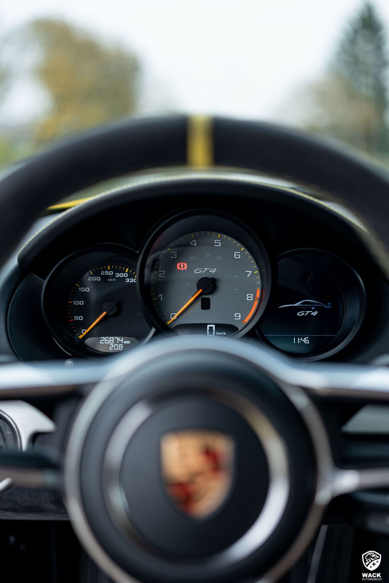 Porsche 981 Cayman GT4