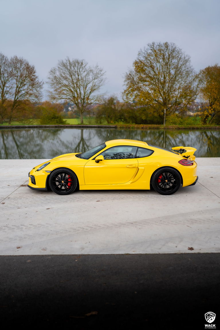 Porsche 981 Cayman GT4
