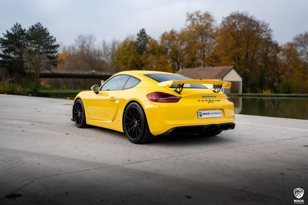 Porsche 981 Cayman GT4