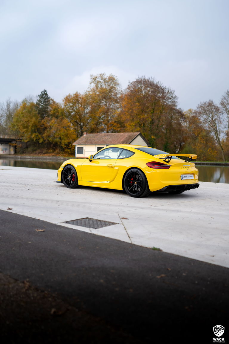 Porsche 981 Cayman GT4