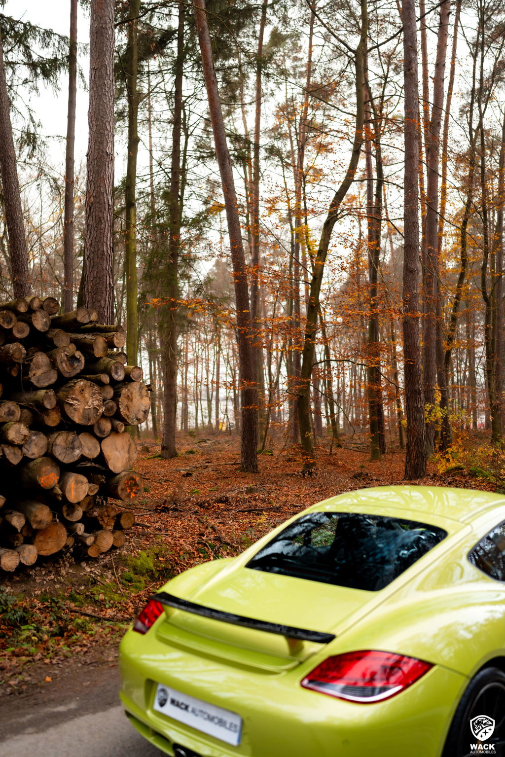 Porsche 987 Cayman R
