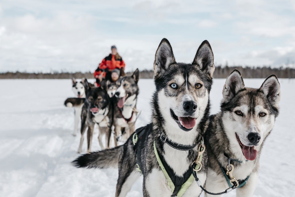 Lapland Ice Driving – Driften im 911 GT3 mit bis zu 200 km/h!