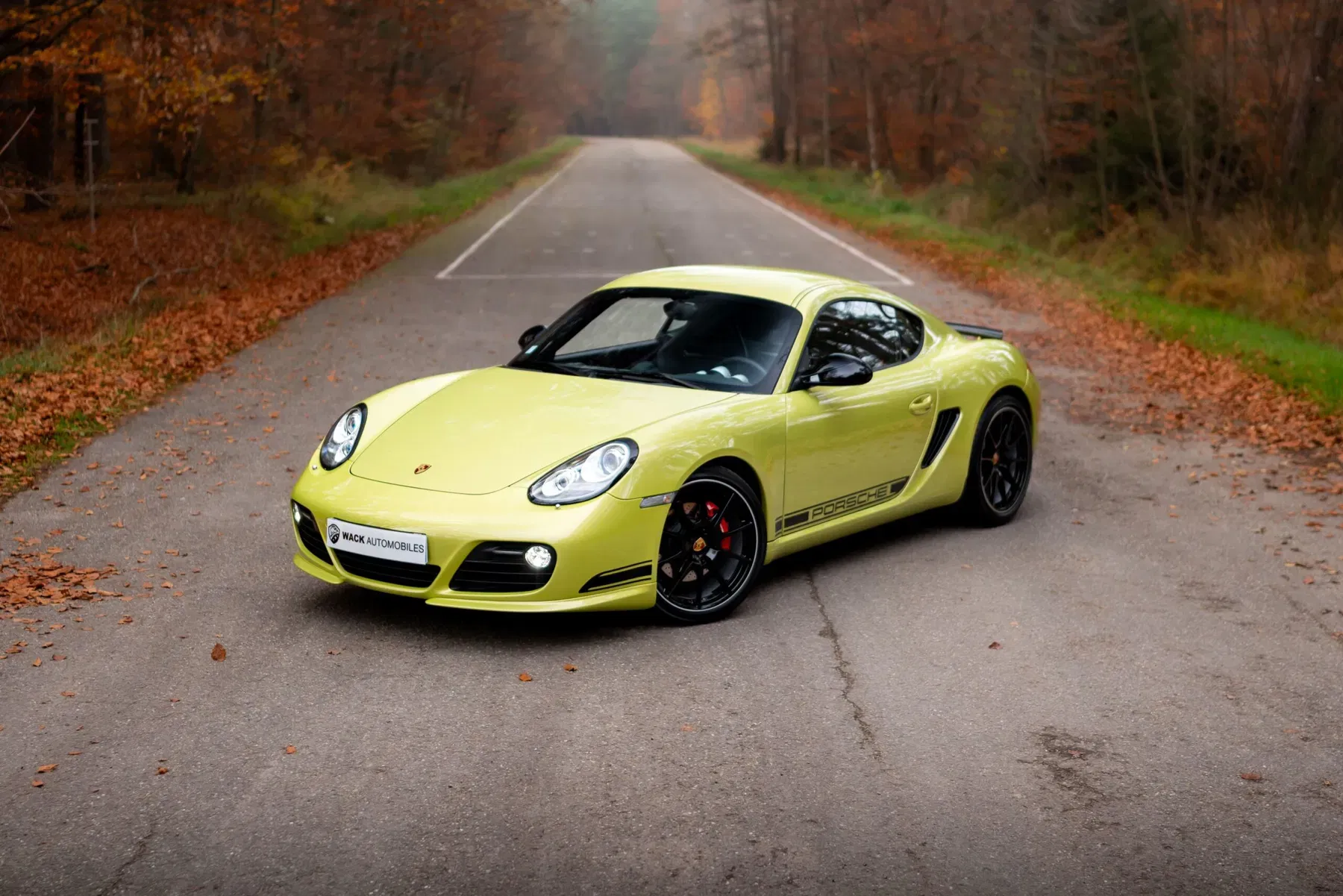 Porsche Cayman R Peridot Metallic
