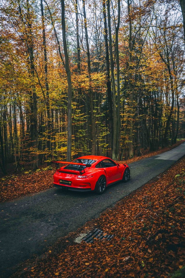 Porsche 991 GT3 RS