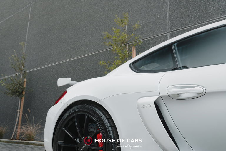 Porsche 981 Cayman GT4