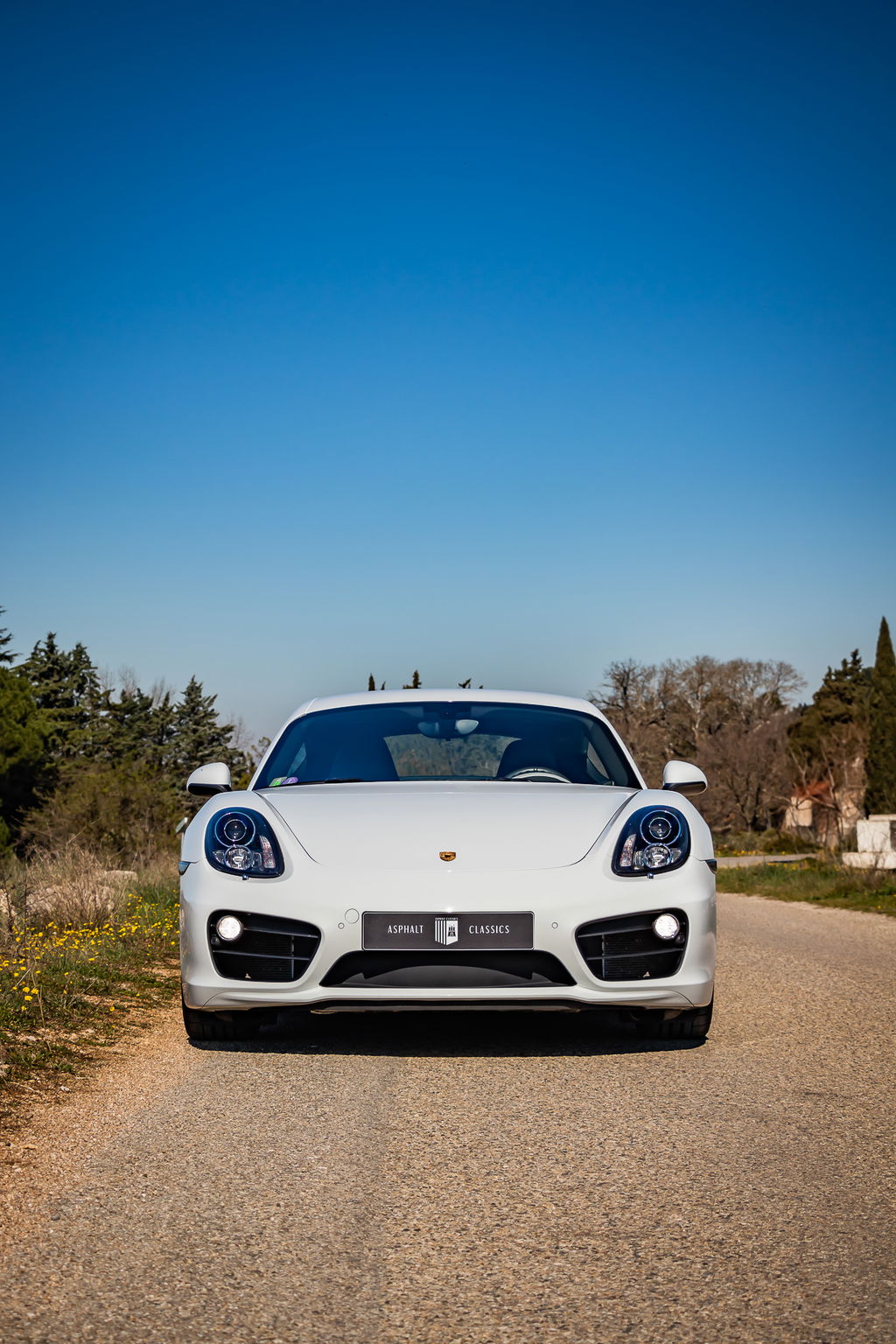 Porsche 981 Cayman S