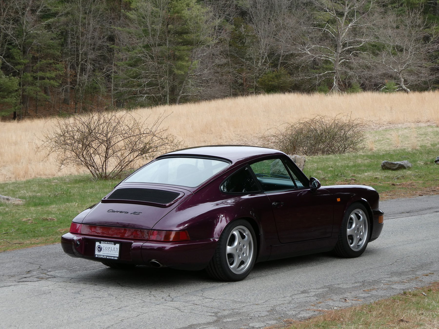 【一部予約販売】 Porsche 964 Carrera RS N/GT 1992 - elferspot.com ブースター・導入液