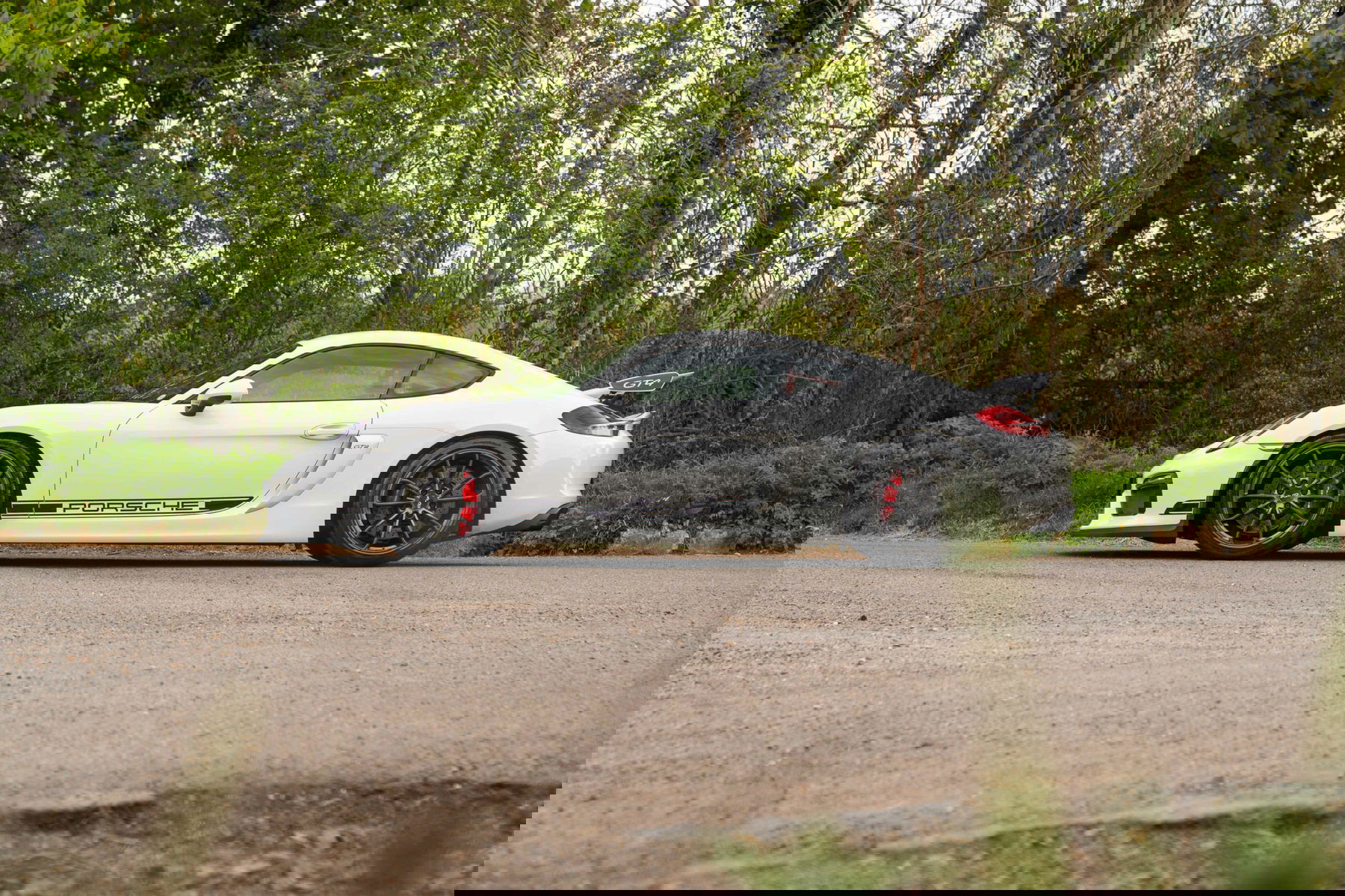 dimmoire Crush x PO【White】 Porsche 981 Cayman GT4 2016 - elferspot.com - Marketplace