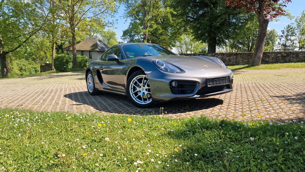 Porsche 981 Cayman