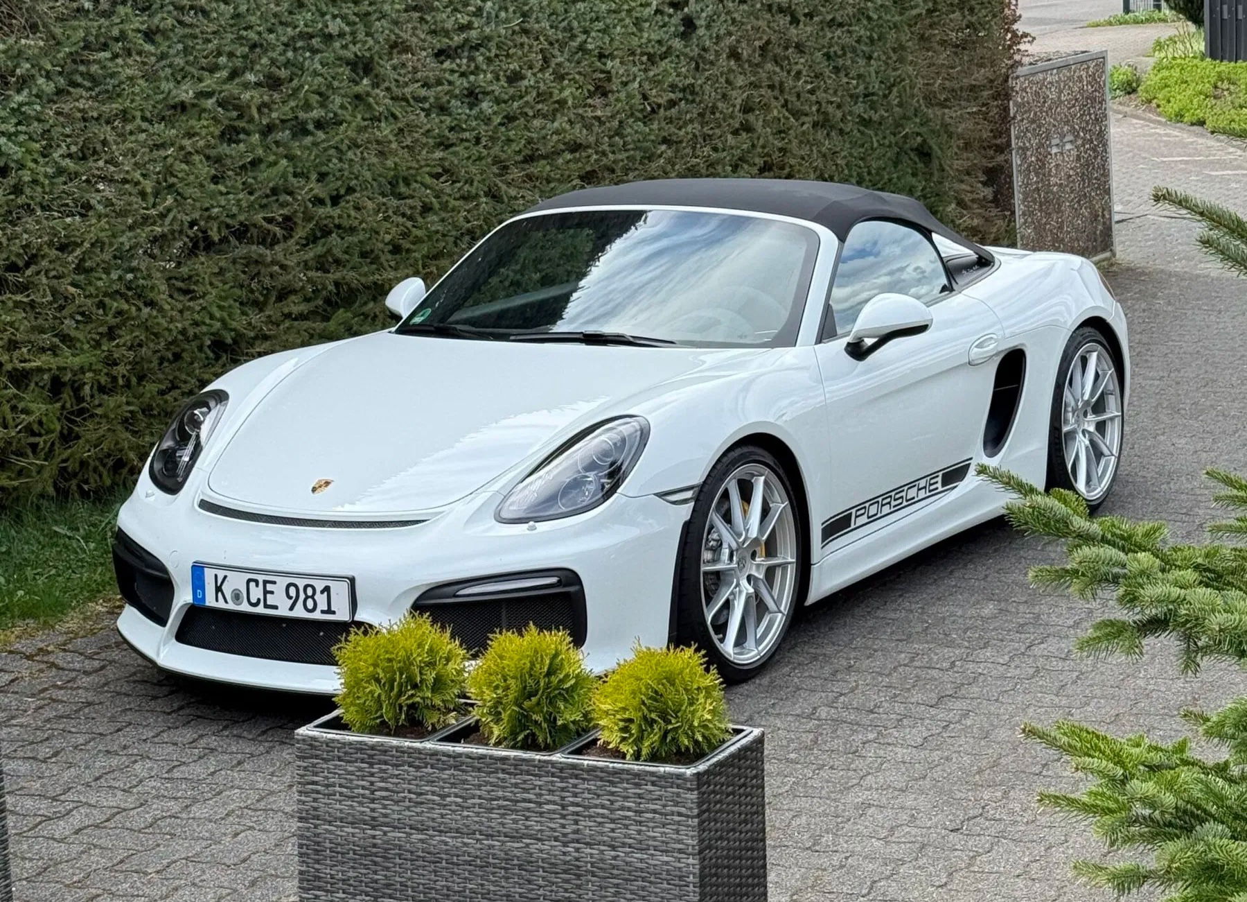 Porsche 981 Boxster Spyder