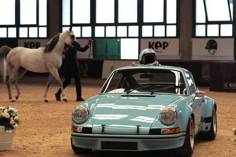 Porsche 911 Carrera 2.8 RSR