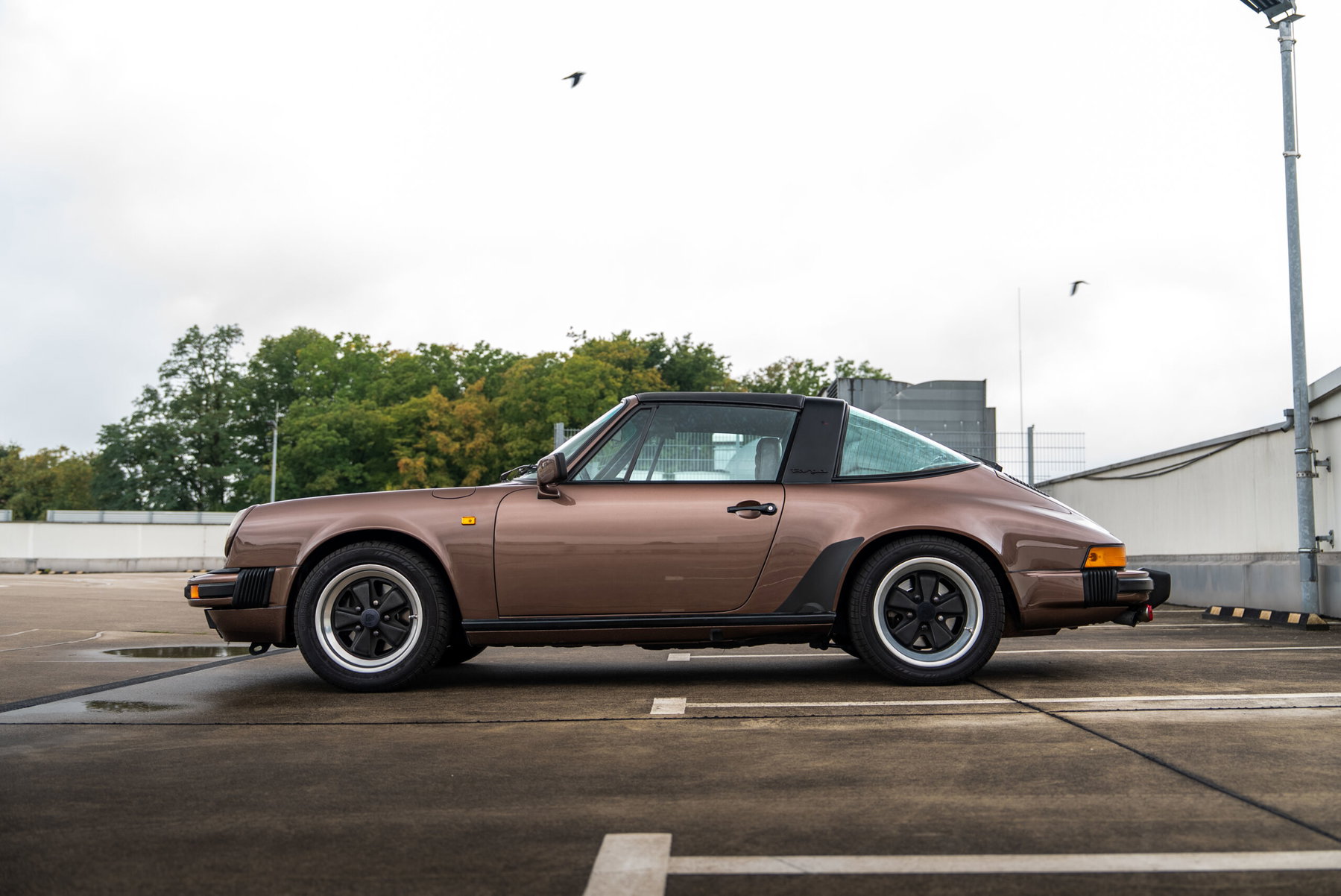 te_porsche_targa_braun-5-
