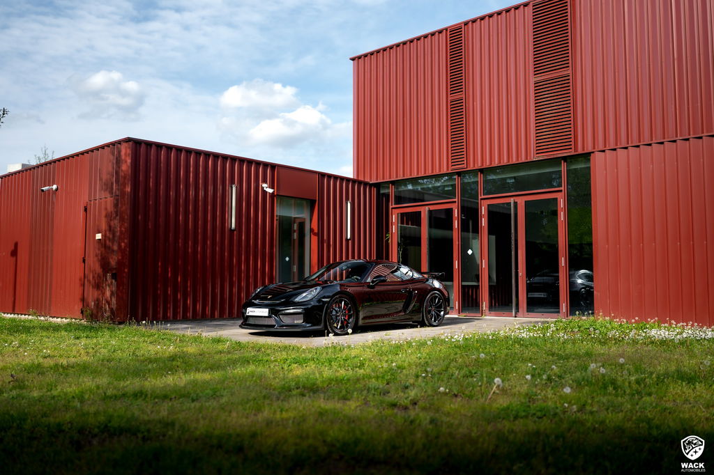 Porsche 981 Cayman GT4