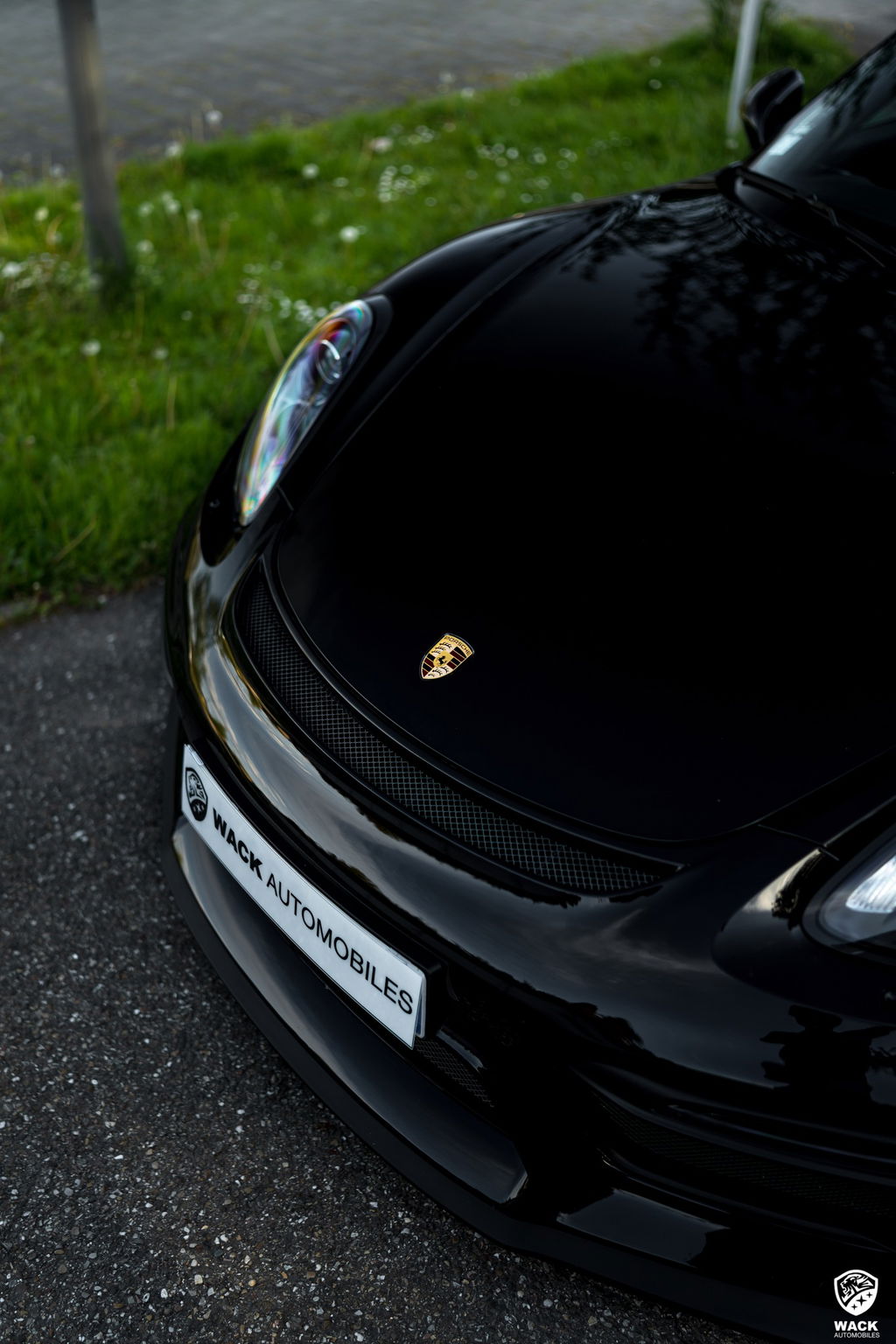 Porsche 981 Cayman GT4