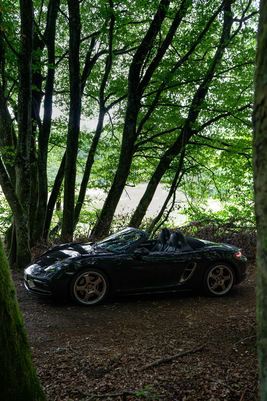 Porsche 718 Boxster 25 Years