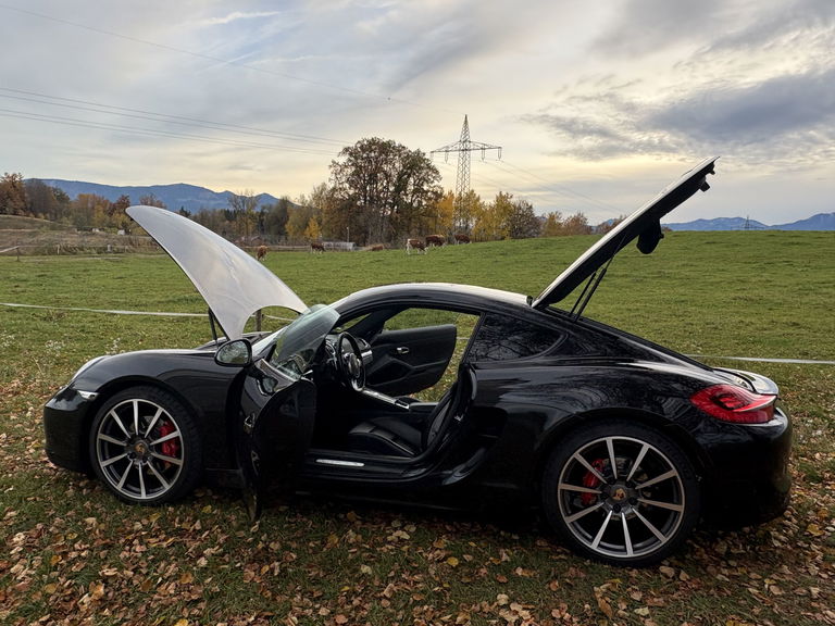 Porsche 981 Cayman S