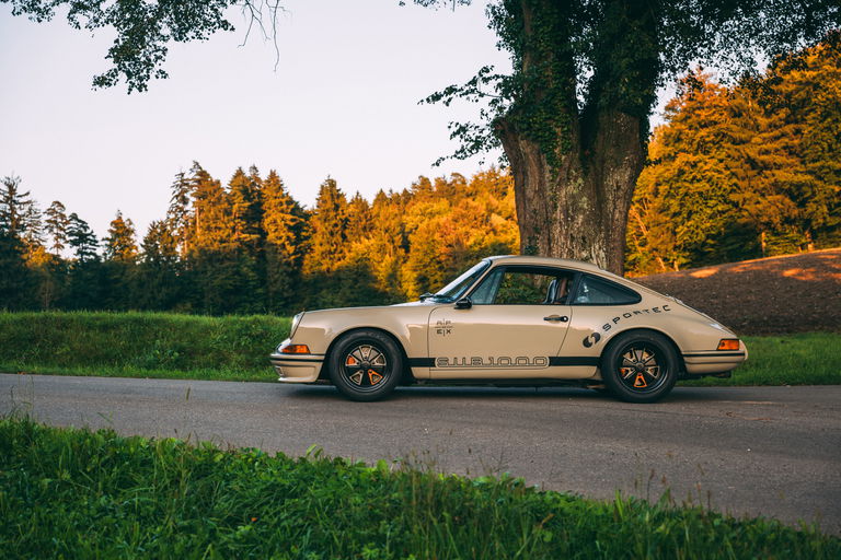 Dr. Jekyll and Mr. Hyde – SPORTEC SUB1000 and FERDINAND S compared