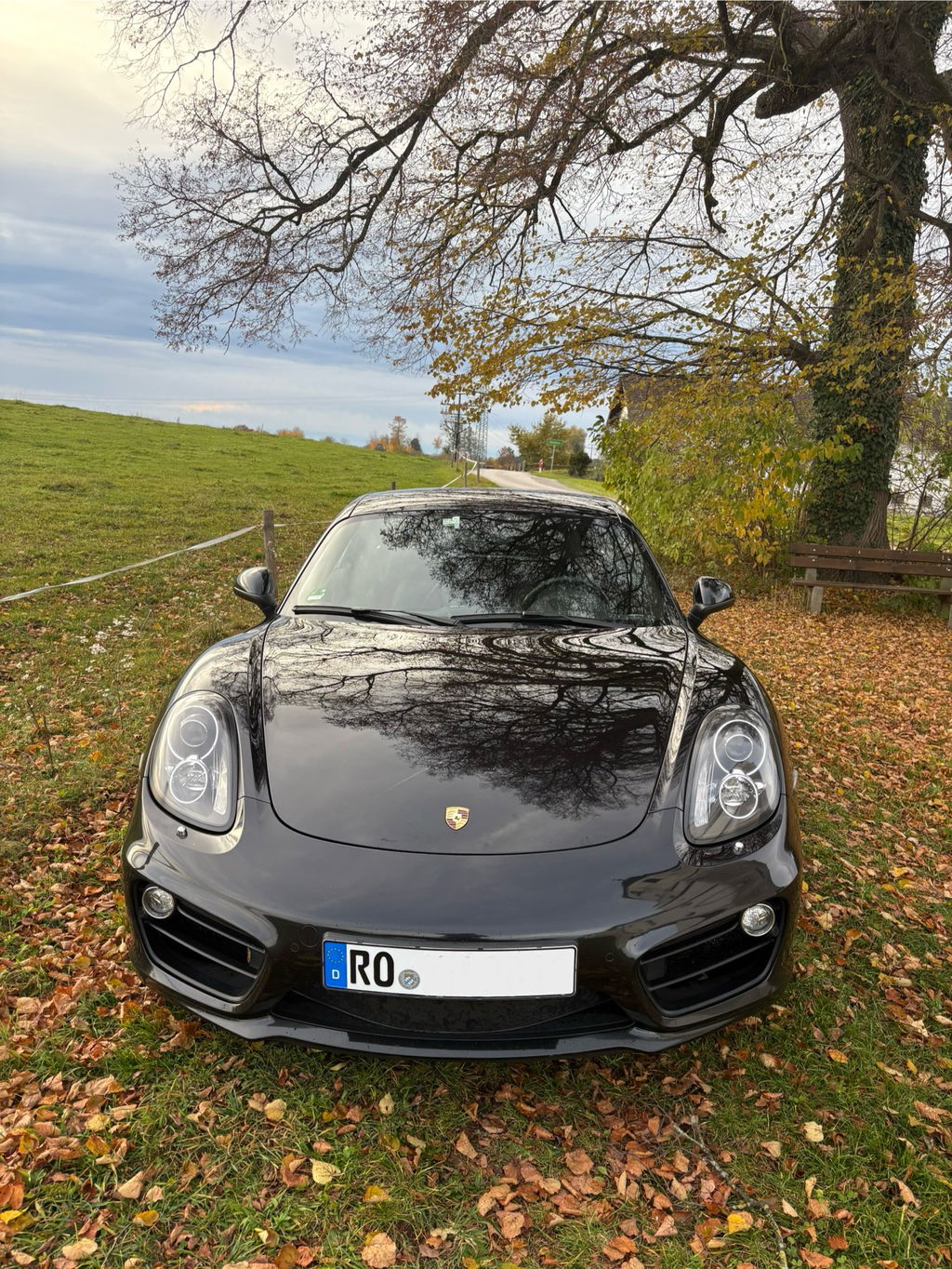 Porsche 981 Cayman S