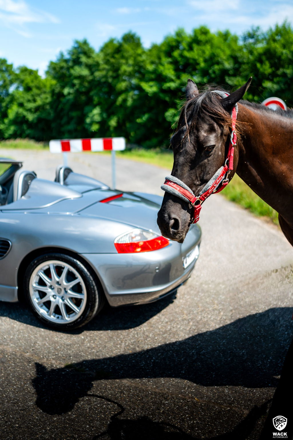 Porsche 986 Boxster S